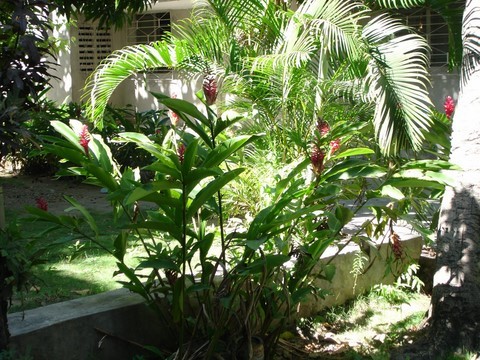 maison et jardin crèche NDN 